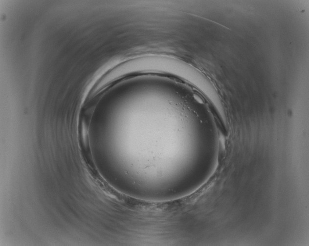 X0000083590148200702162152