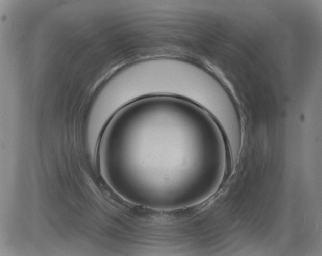 X0000083590154200702162152