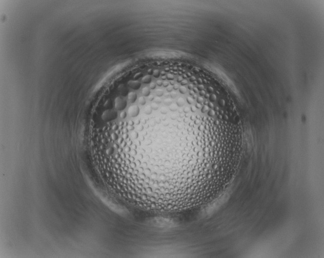 X0000083590159200702162152