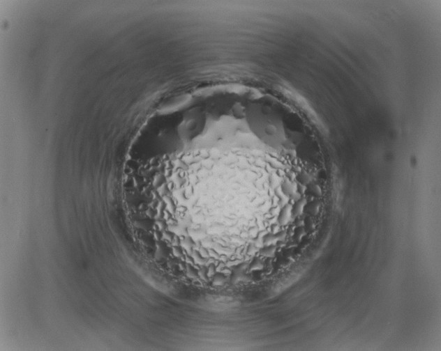 X0000083590161200702162152
