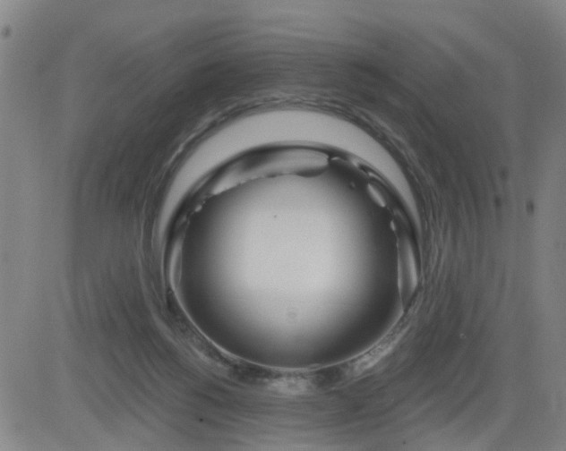 X0000083590168200702162152
