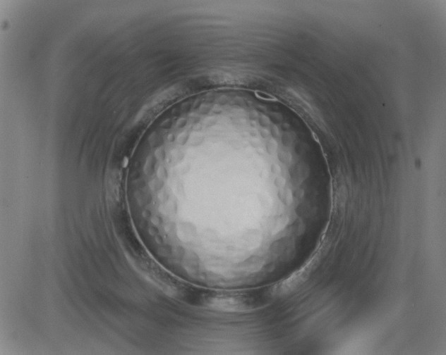 X0000083590171200702162152