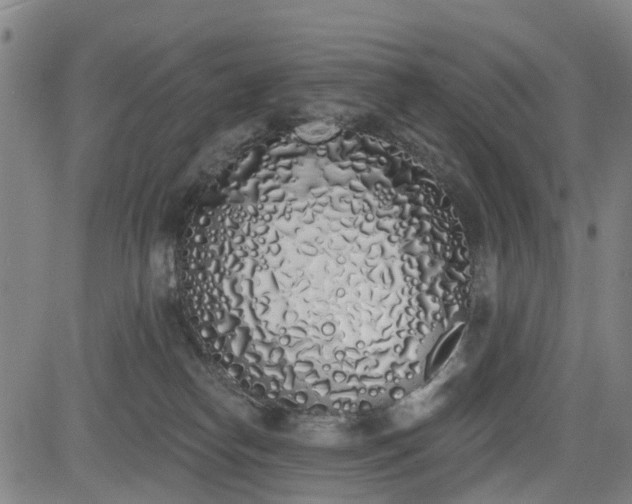 X0000083590182200702162152