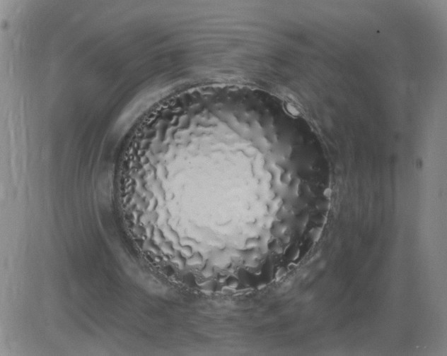 X0000083590194200702162152