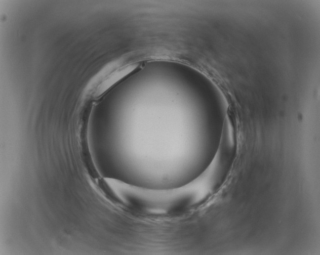 X0000083590197200702162152