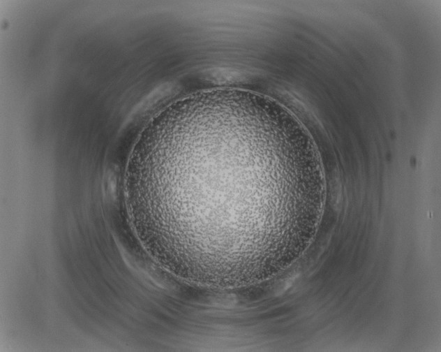 X0000083590214200702162151
