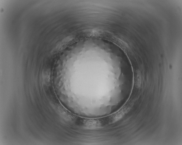 X0000083590230200702162151