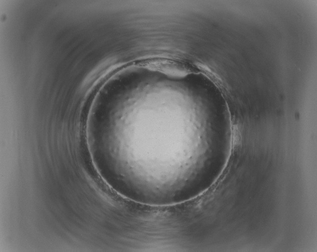 X0000083590243200702162150