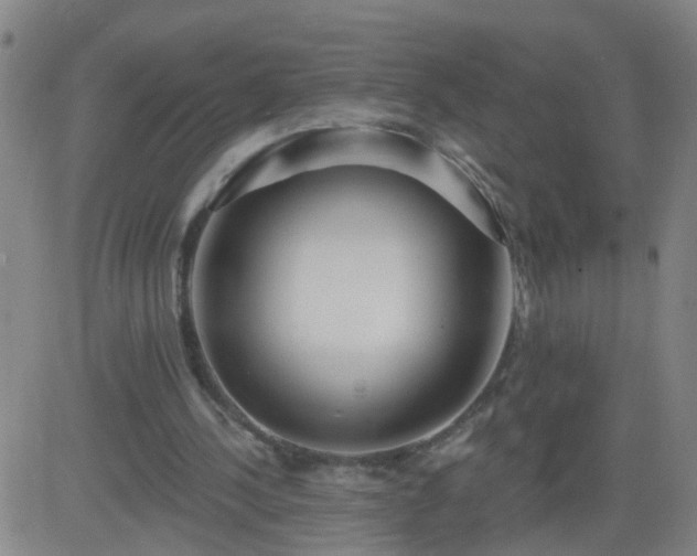 X0000083590244200702162150
