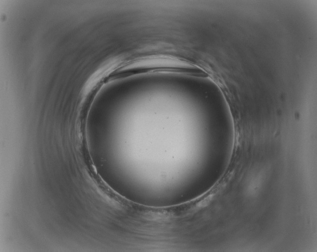 X0000083590245200702162150