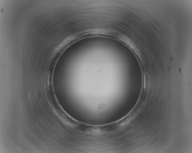 X0000083590253200702162150