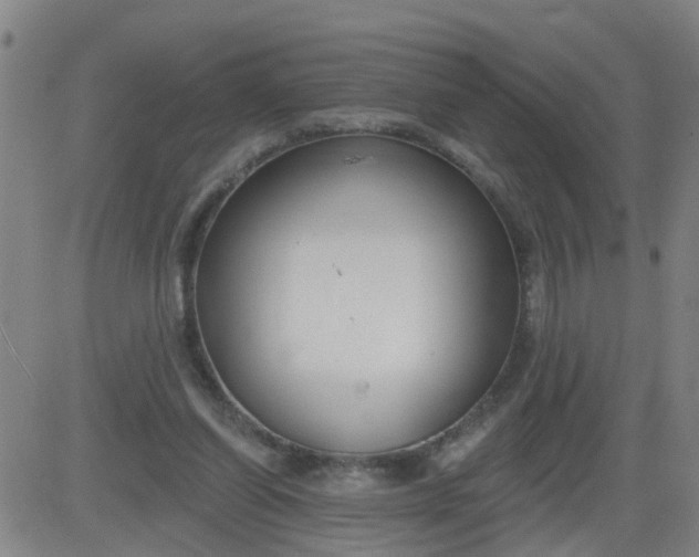 X0000083590254200702162150