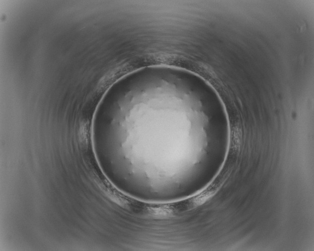 X0000083590286200702162151