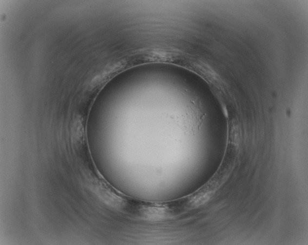 X0000083590318200702162150
