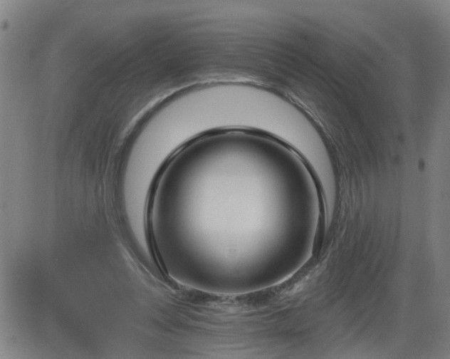 X0000083590351200702162149