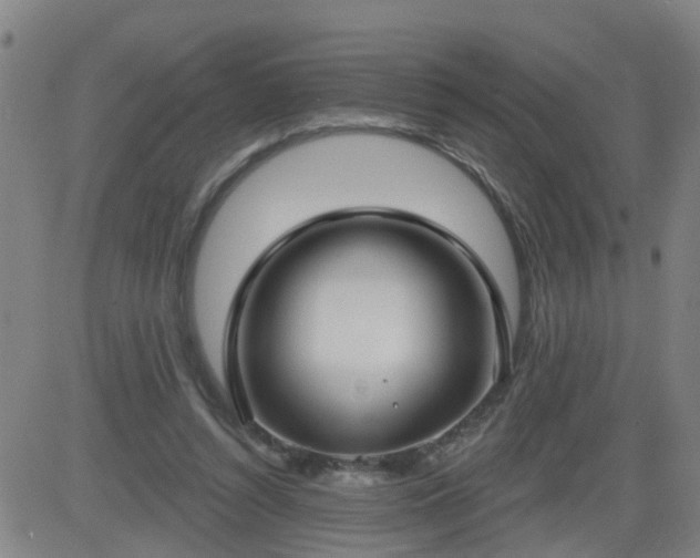 X0000083590352200702162149