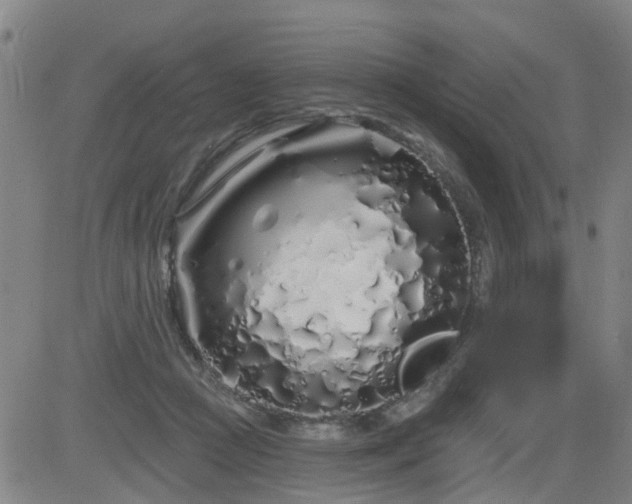 X0000083590361200702162149