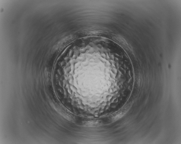 X0000083590366200702162149