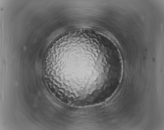 X0000083590386200702162149