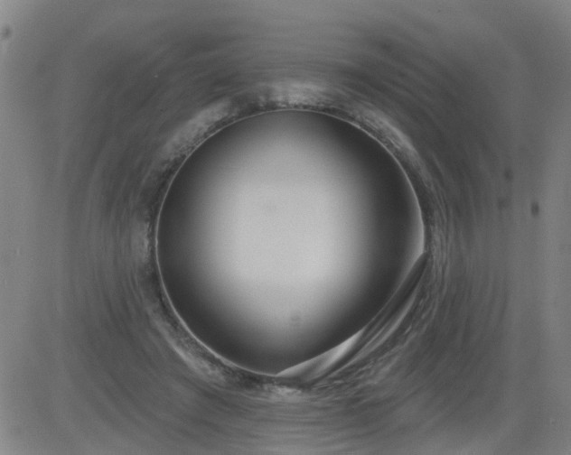 X0000083590401200702162148