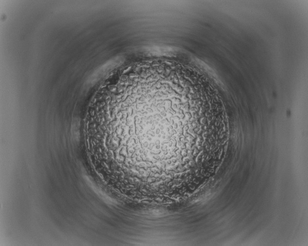 X0000083590402200702162148