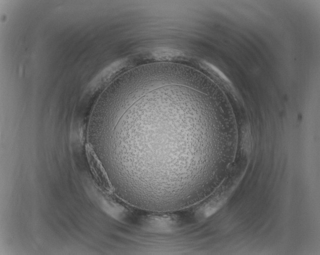X0000083590405200702162148