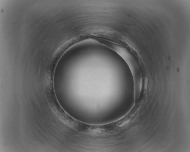 X0000083590407200702162148