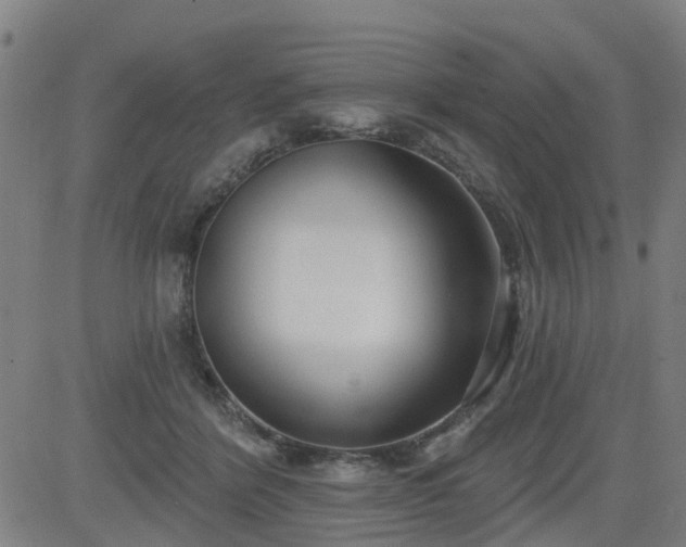 X0000083590412200702162148