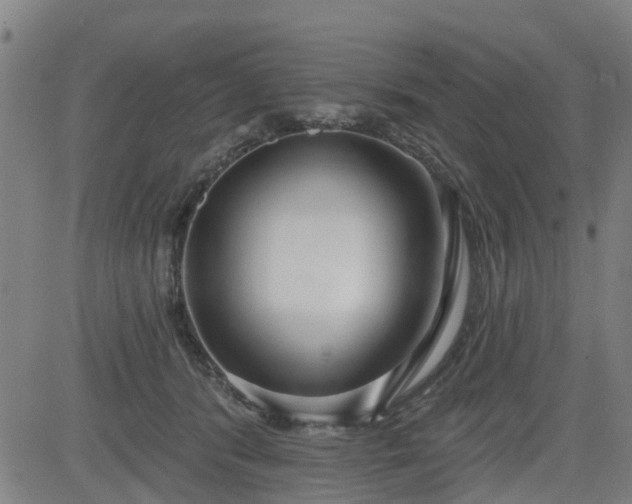 X0000083590416200702162148