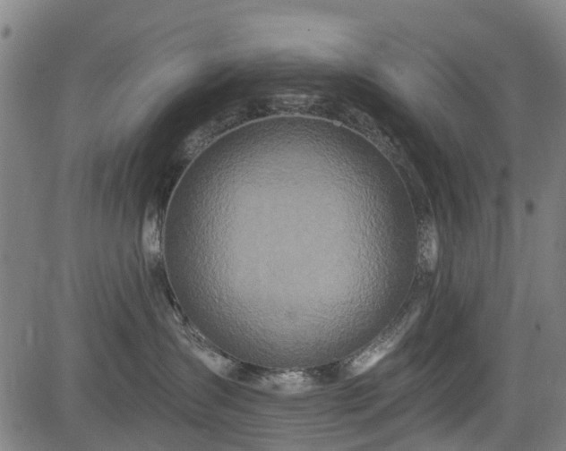 X0000083590431200702162148