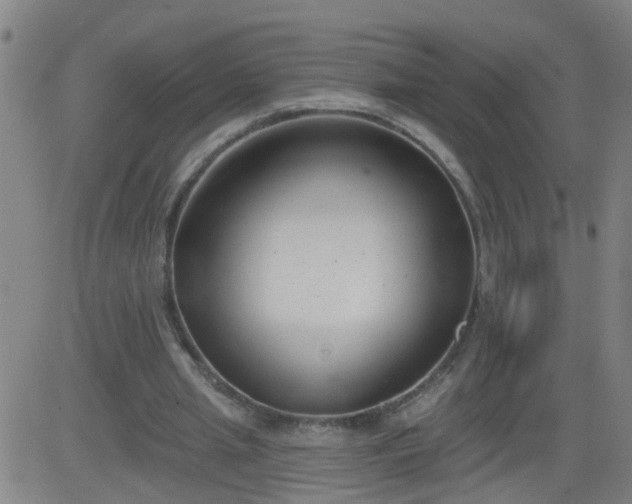 X0000083590437200702162147