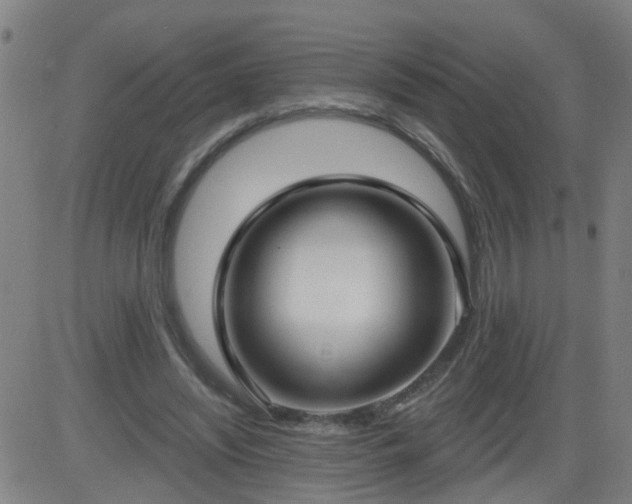 X0000083590444200702162147
