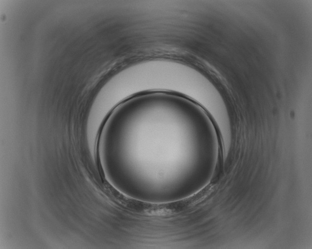 X0000083590452200702162147