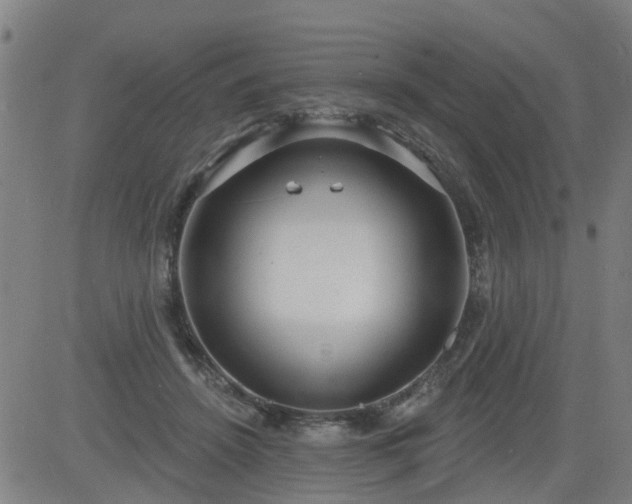 X0000083590456200702162147