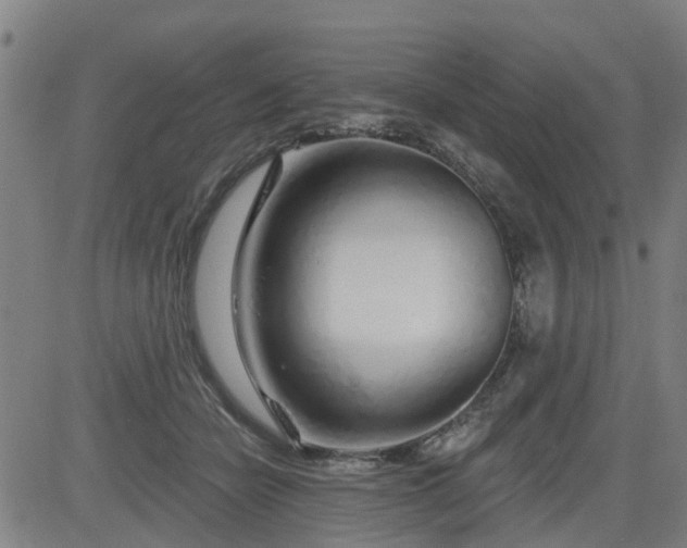 X0000083590462200702162148