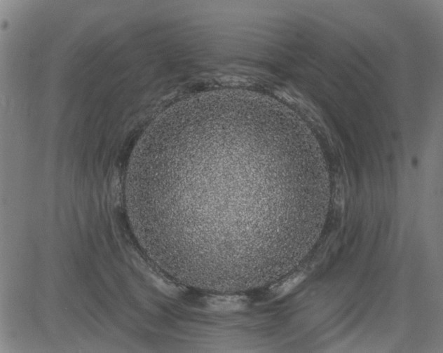 X0000083590465200702162148