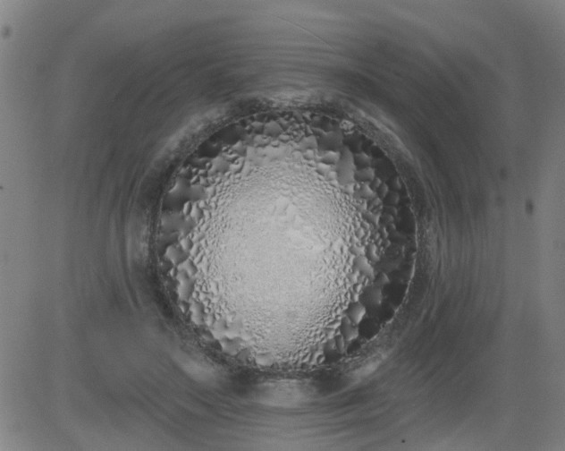 X0000083590499200702162147