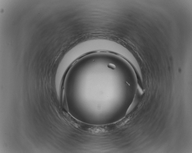 X0000083590512200702162147