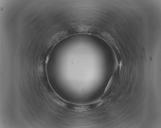 X0000083590516200702162147