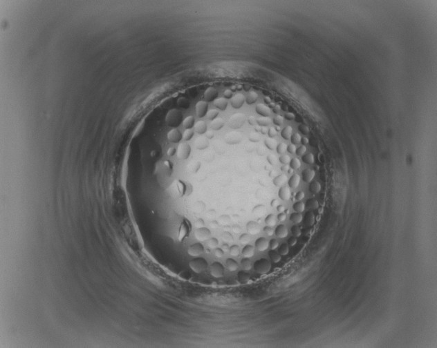 X0000083590537200702162146