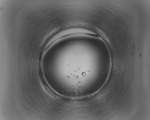 X0000083590538200702162146
