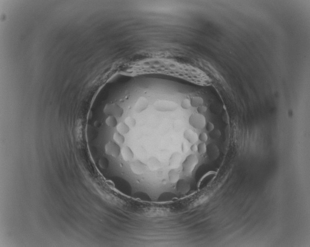 X0000083590549200702162146