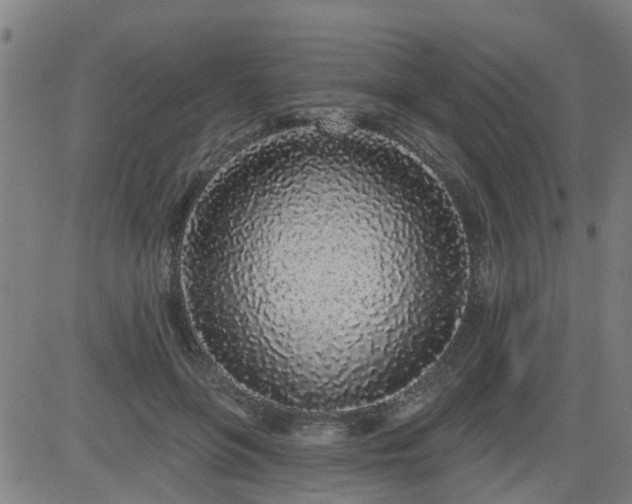 X0000083590551200702162146
