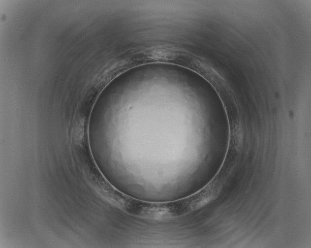 X0000083590554200702162146