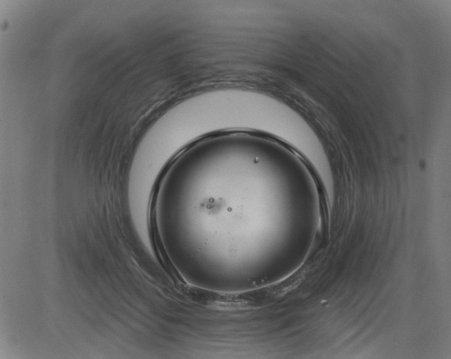 X0000083590556200702162146