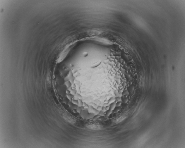 X0000083590561200702162146