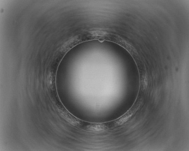 X0000083590567200702162146