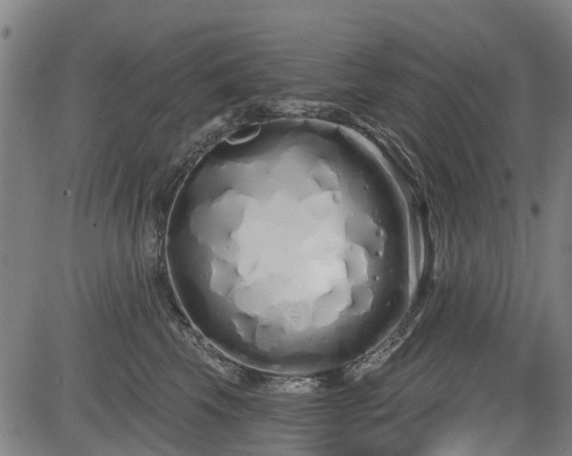 X0000083590569200702162146