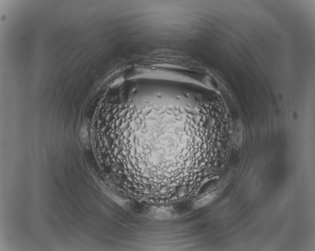 X0000083590573200702162146