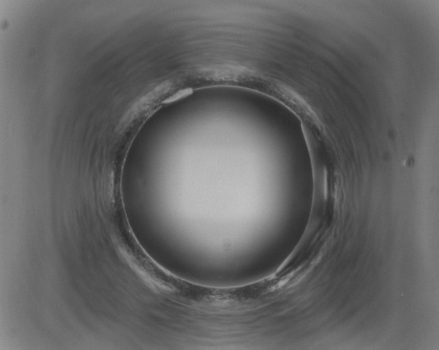 X0000083590589200702162145